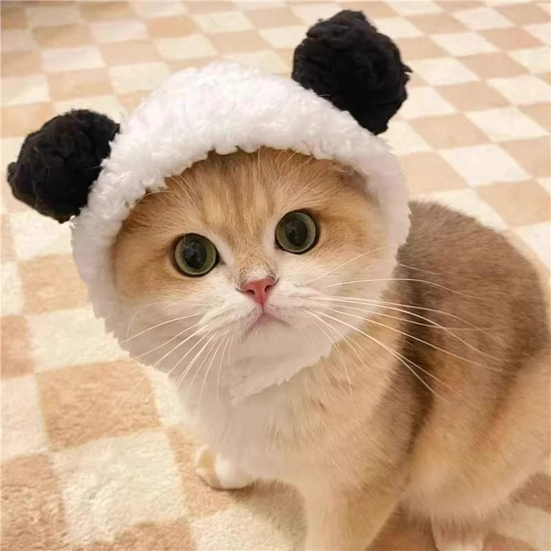 Winter Clothing For Dogs - Adorable Pet Costume Bear Hat Photoaphy