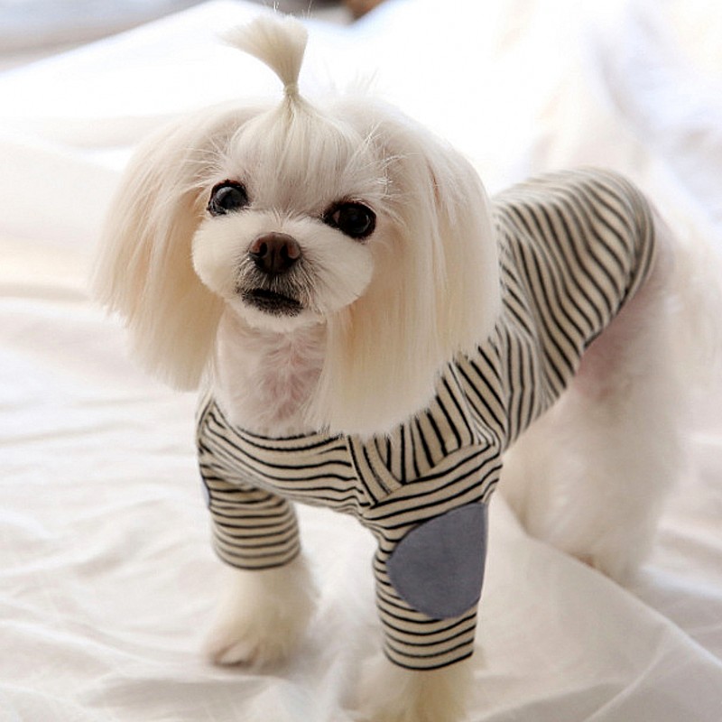 Thin Pet Dog Hoodies Fleece Do – обзор и цена Winter Clothing For Dogs
