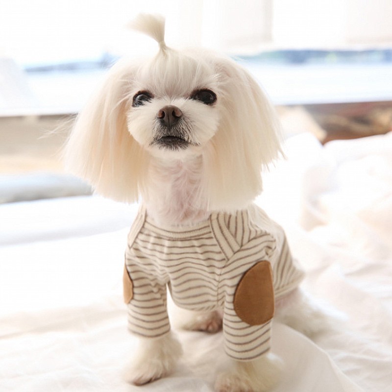 Thin Pet Dog Hoodies Fleece Do – обзор и цена Winter Clothing For Dogs