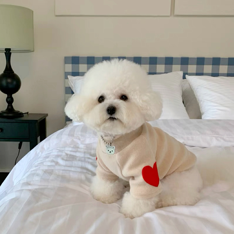 Dog Love Bottom Shirt Warm Pet – обзор и цена Winter Clothing For Dogs