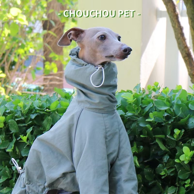 Italian Greyhound Raincoat Aut – обзор и цена Winter Clothing For Dogs