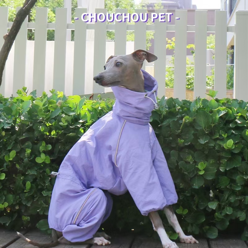 Italian Greyhound Raincoat Aut – обзор и цена Winter Clothing For Dogs
