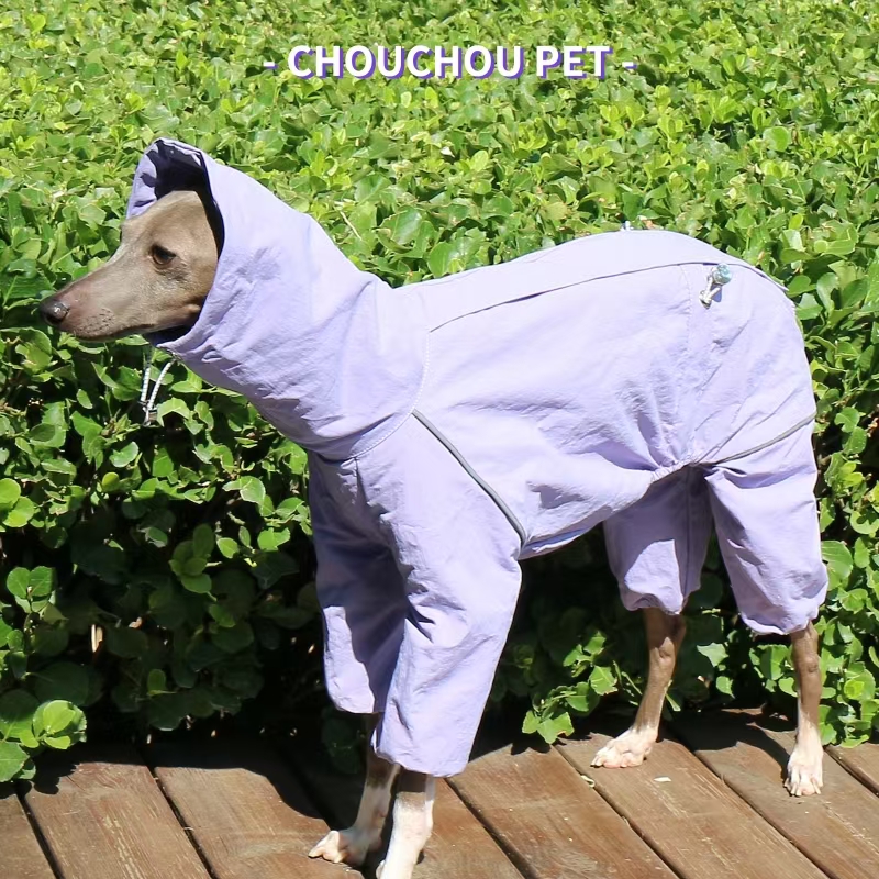 Italian Greyhound Raincoat Aut – обзор и цена Winter Clothing For Dogs