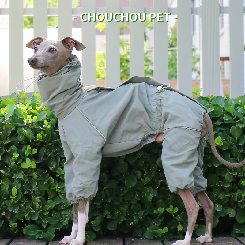 Italian Greyhound Raincoat Aut – обзор и цена Winter Clothing For Dogs