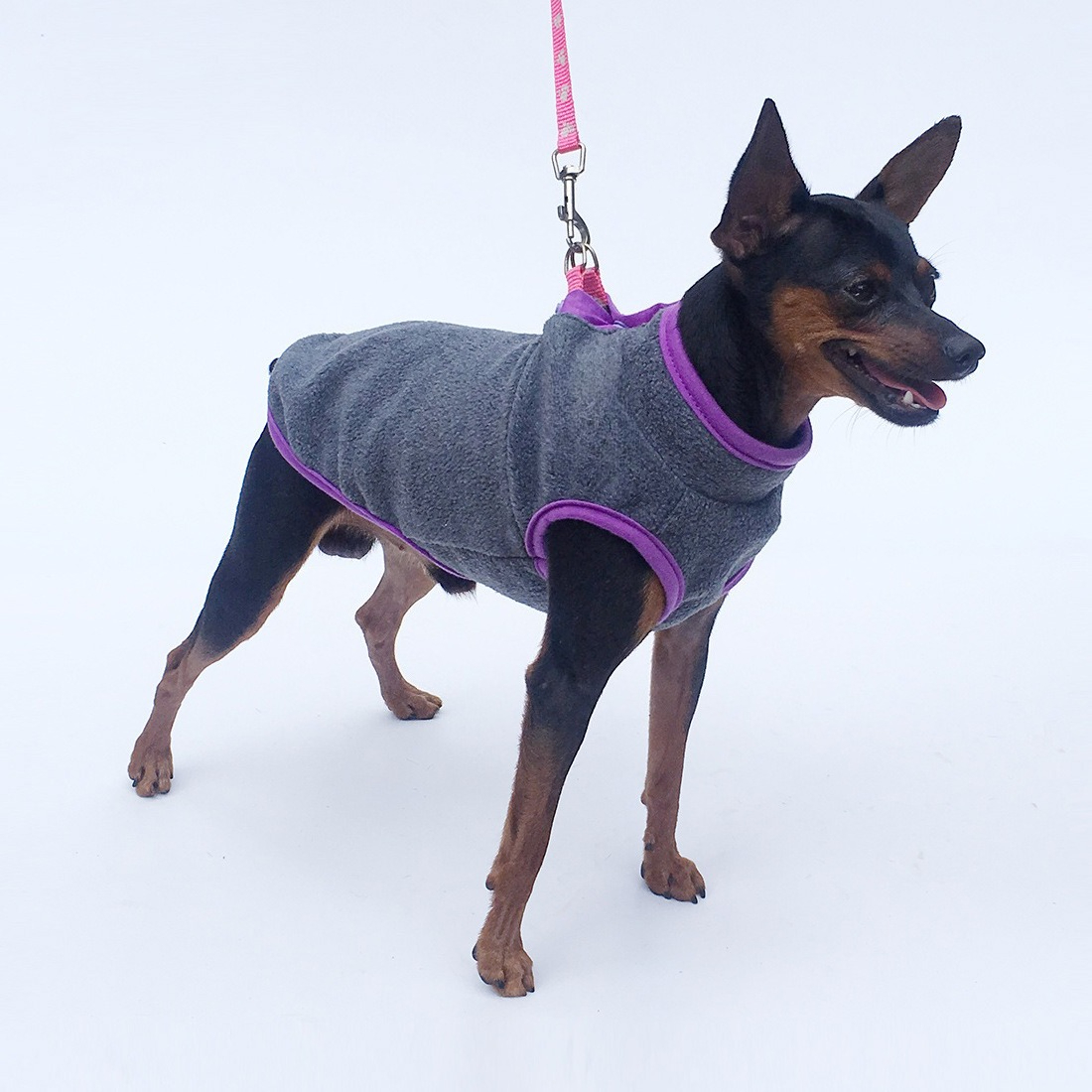 Autumn and Winter Plus Velvet  – обзор и цена Winter Clothing For Dogs