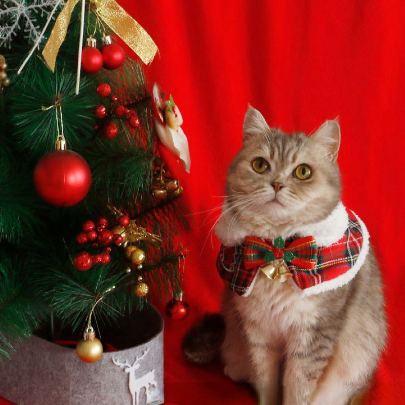 Cat Christmas Cloak Pet New Ye – обзор и цена Winter Clothing For Dogs