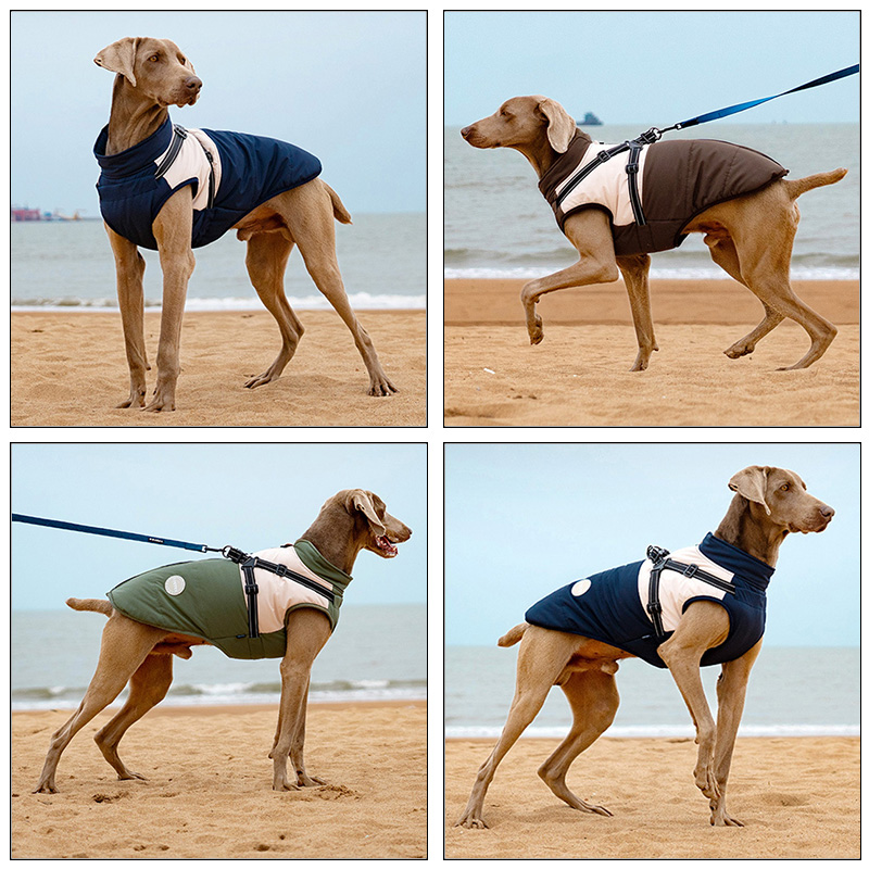Warm Dog Vest With Built-in Ha – обзор и цена Winter Clothing For Dogs