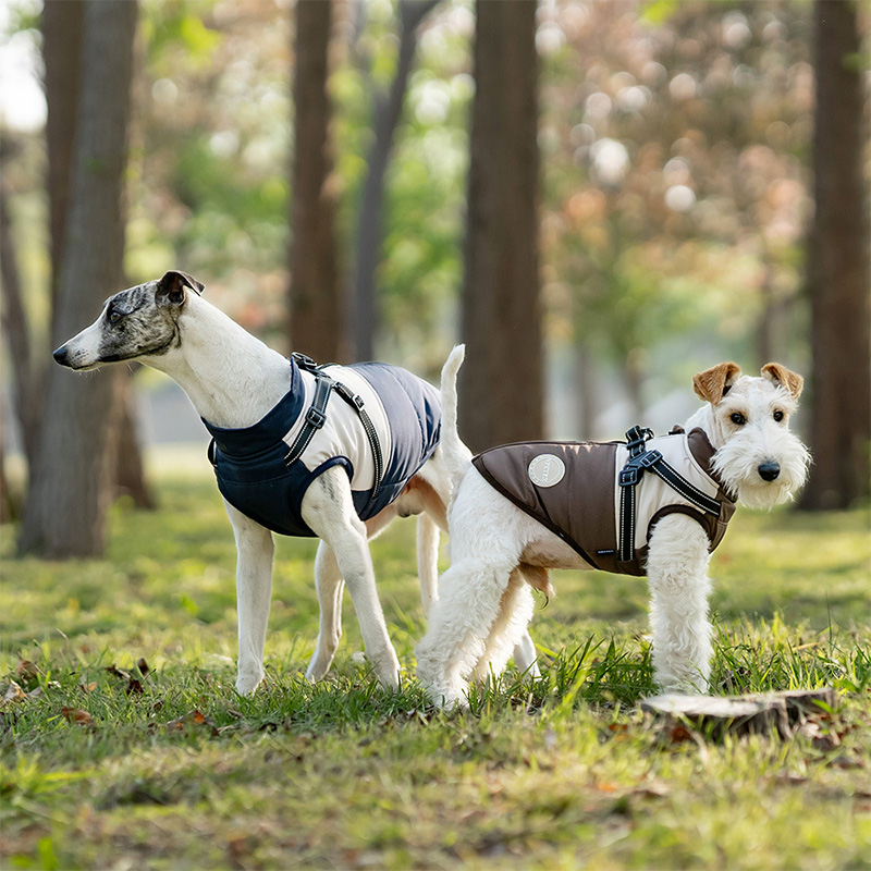 Warm Dog Vest With Built-in Ha – обзор и цена Winter Clothing For Dogs
