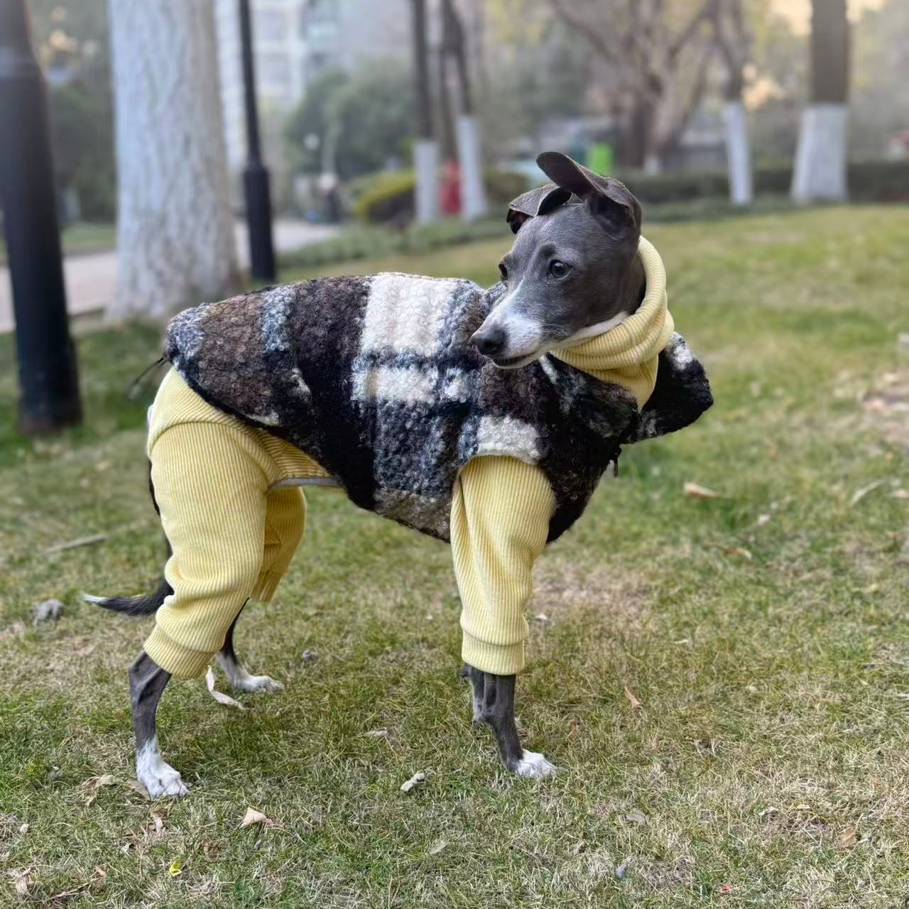 Winter Fleece Sweatshirt Vest  – обзор и цена Winter Clothing For Dogs