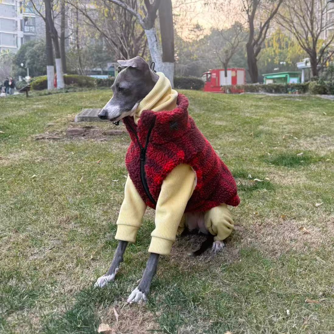 Winter Fleece Sweatshirt Vest  – обзор и цена Winter Clothing For Dogs