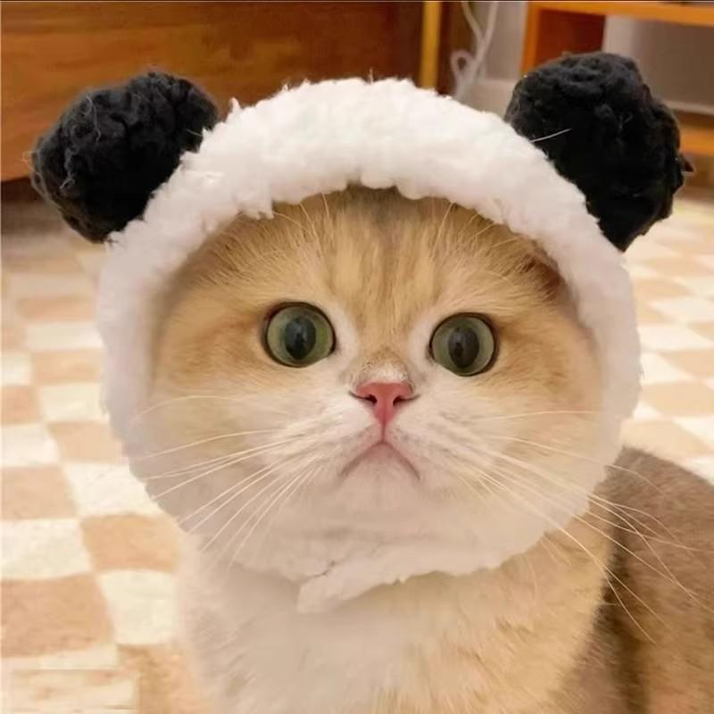 Adorable Pet Costume Bear Hat  – обзор и цена Winter Clothing For Dogs