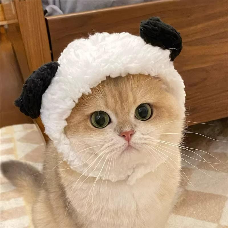 Adorable Pet Costume Bear Hat  – обзор и цена Winter Clothing For Dogs