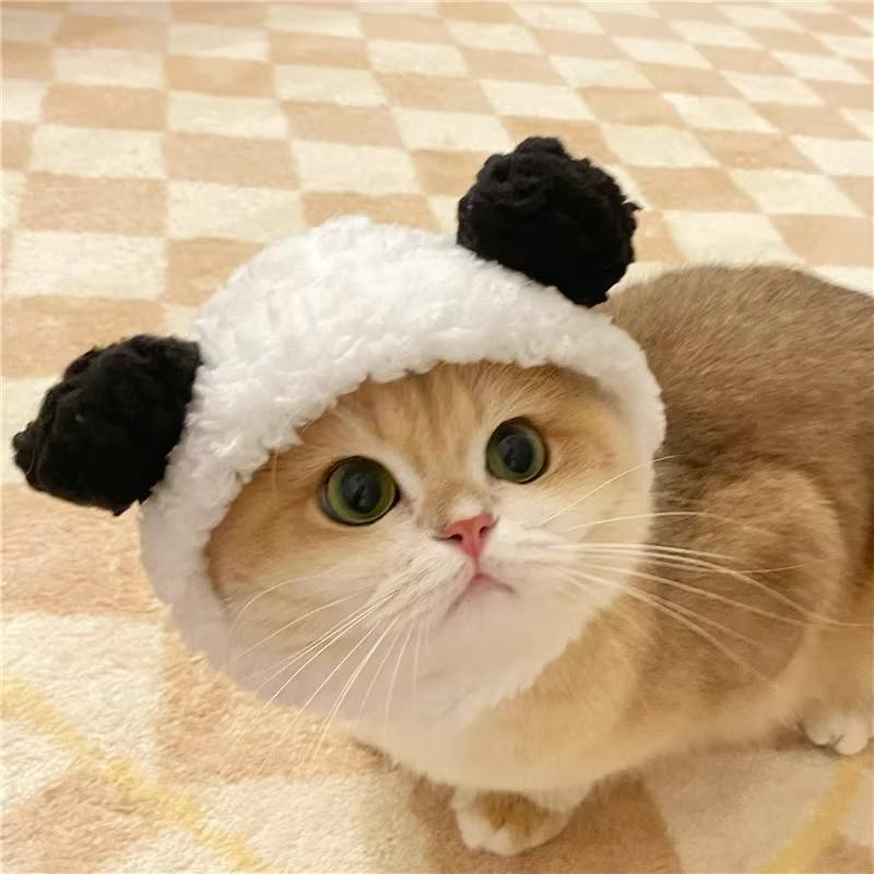 Adorable Pet Costume Bear Hat  – обзор и цена Winter Clothing For Dogs