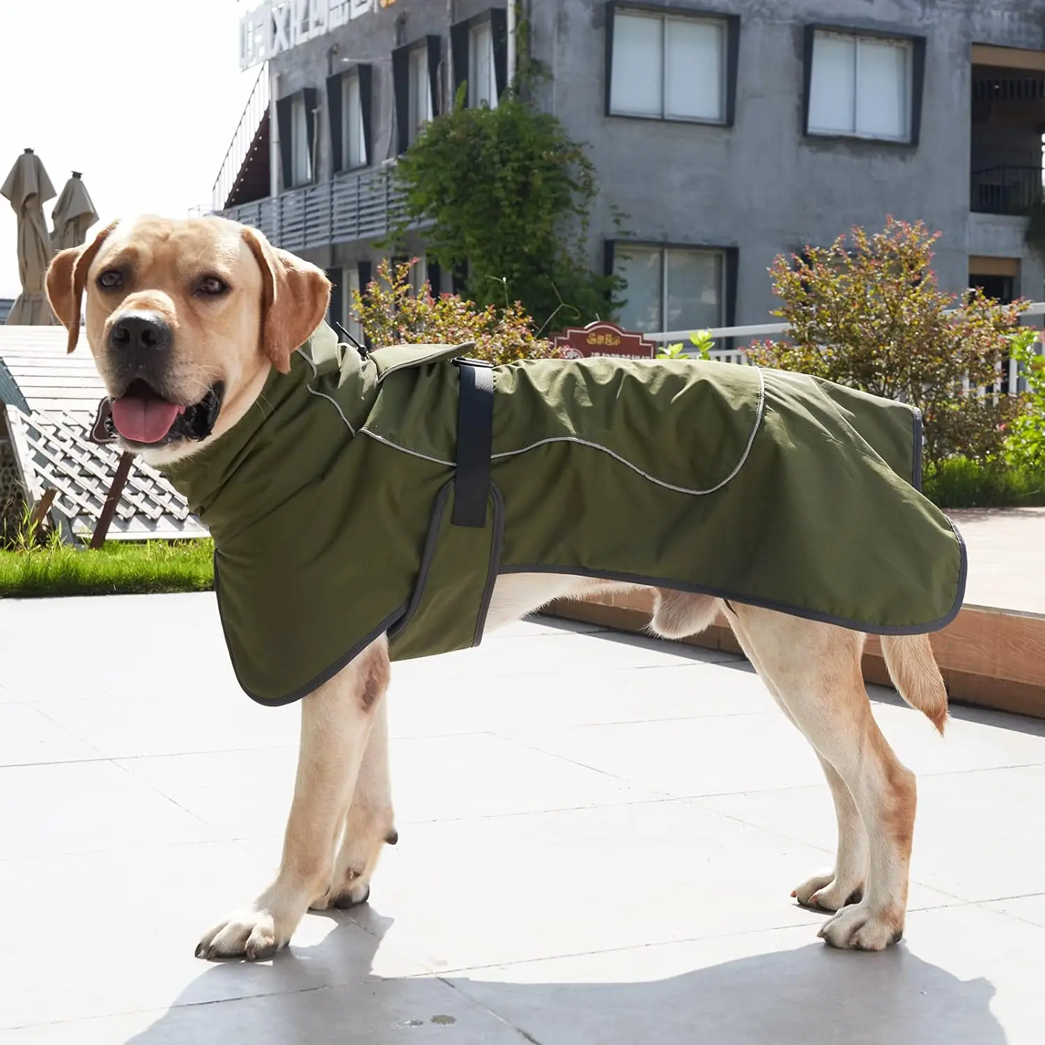 Winter Clothes for Dogs Windpr – обзор и цена Winter Clothing For Dogs