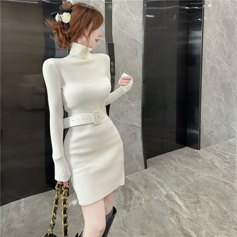 Bodycon Turtleneck Short Skinn – обзор и цена Winter Clothing On Sale