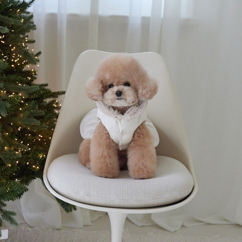 Pet Thick Coat Autumn/Winter C – обзор и цена Winter Clothing For Dogs