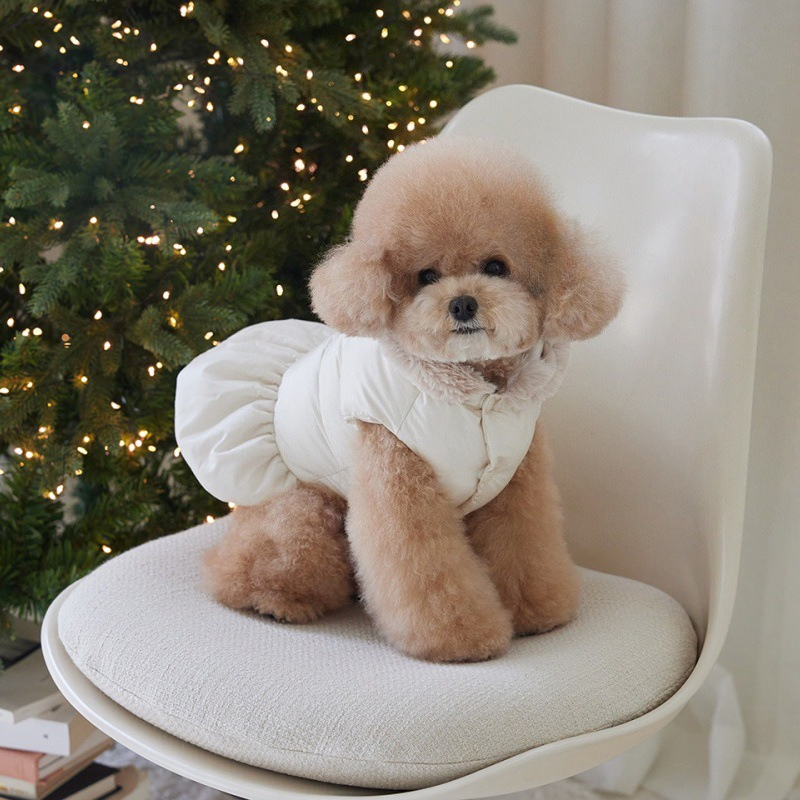 Pet Thick Coat Autumn/Winter C – обзор и цена Winter Clothing For Dogs