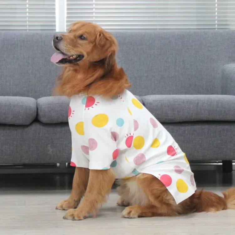 Big Dog Shirt Autumn Winter La – обзор и цена Winter Clothing For Dogs