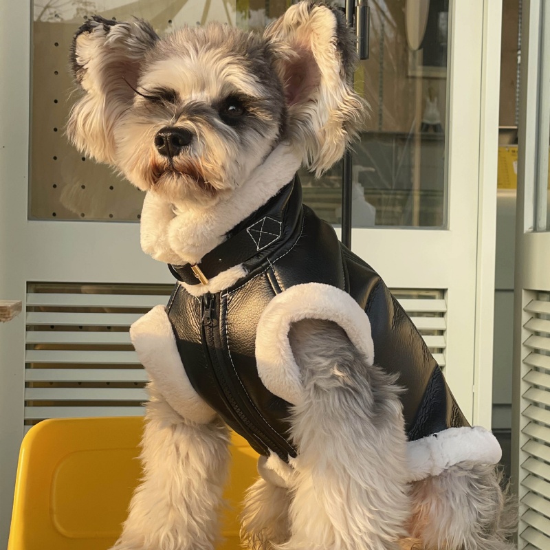 Pet Autumn Winter Velvet Sleev – обзор и цена Winter Clothing For Dogs