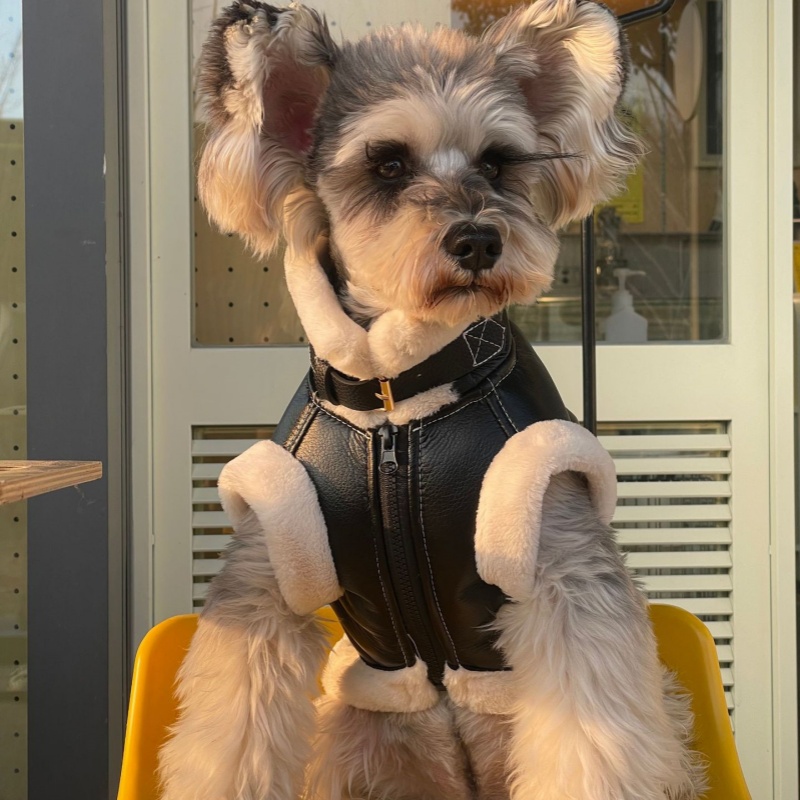 Pet Autumn Winter Velvet Sleev – обзор и цена Winter Clothing For Dogs