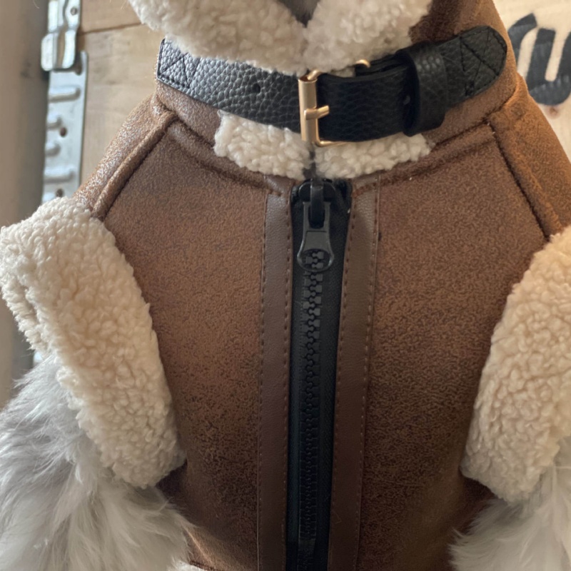 Pet Autumn Winter Velvet Sleev – обзор и цена Winter Clothing For Dogs