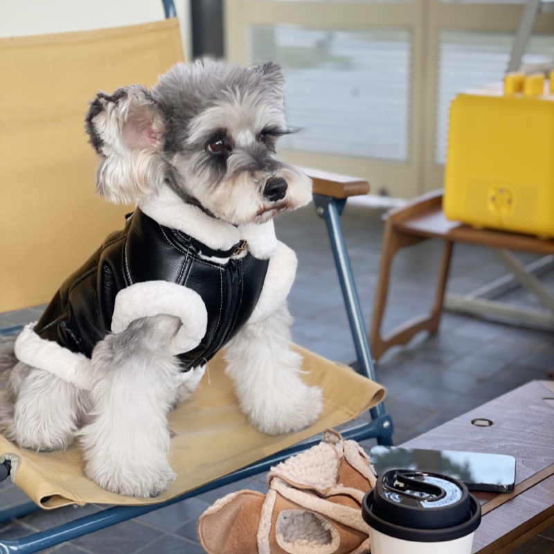 Pet Autumn Winter Velvet Sleev – обзор и цена Winter Clothing For Dogs