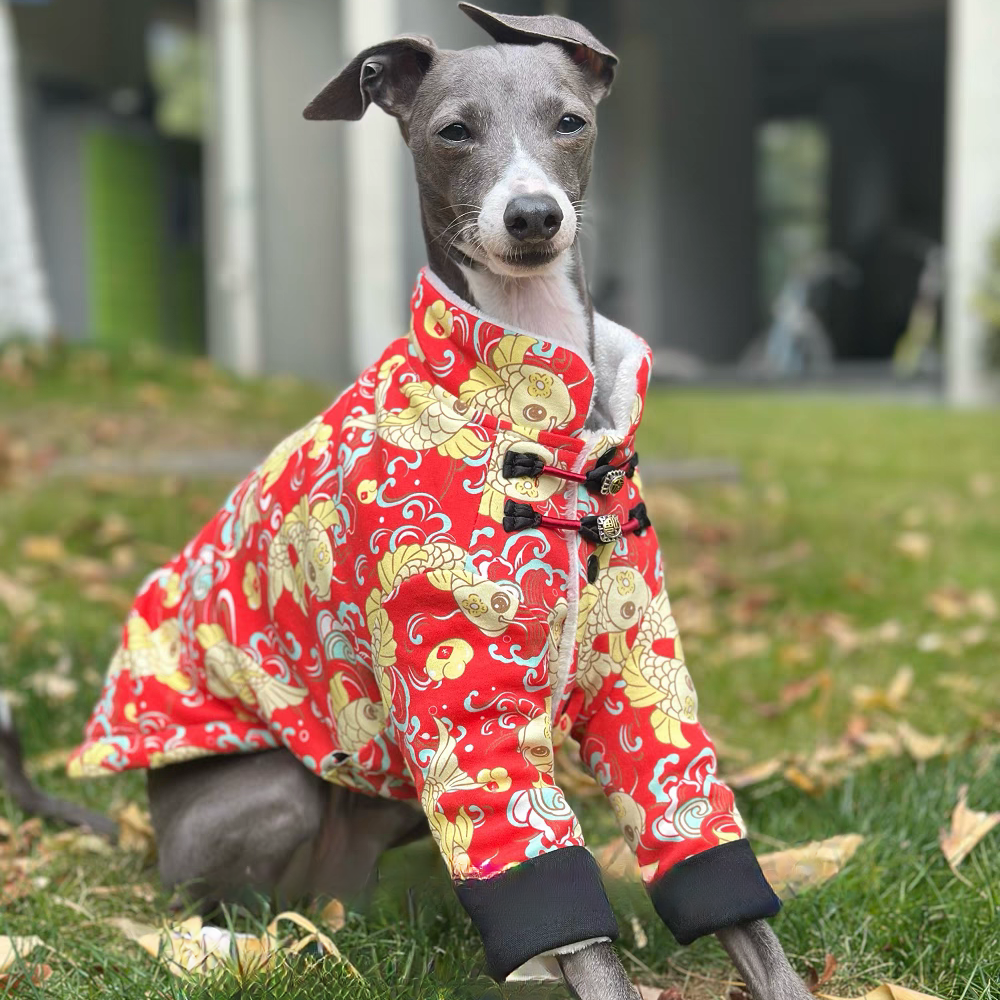 Chinese Knot Buckle Fleece Jac – обзор и цена Winter Clothing For Dogs